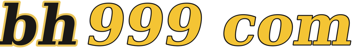 bh999 com logo